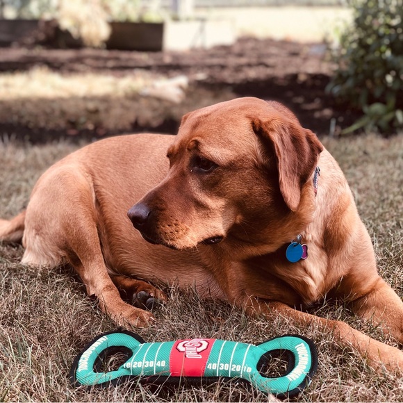 Live Shows and Share - We are LIVE!! - Picture 13 of 14